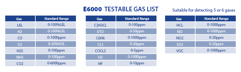 E6000 portable multi gas detector testable gas list