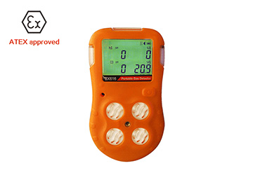 BX616 portable multi gas detector