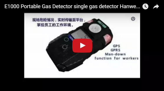 E1000-Portable-Single-Gas-Detector