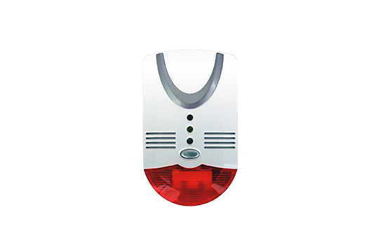 GK AC Powered CO Alarm